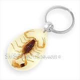 Fluorescent Acrylic Amber Insect Scorpion Keyring