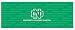North Dakota Sioux Team Auto Rear Window Decal