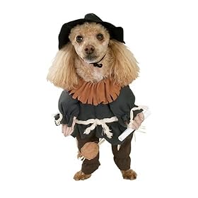 Scarecrow from the Wizard of Oz Halloween Pet Costume