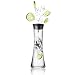 Menu Wasserkaraffe, 0,8 L