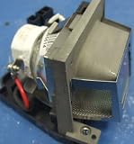 Lampedia Replacement Lamp for MITSUBISHI SD430 / SD430U / XD430 / XD430U / XD435 / XD435U