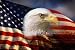 Wallmonkeys Peel and Stick Wall Decals - Bald Eagle Head and American Flag - Removable Graphic