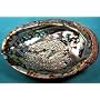 Abalone Shell