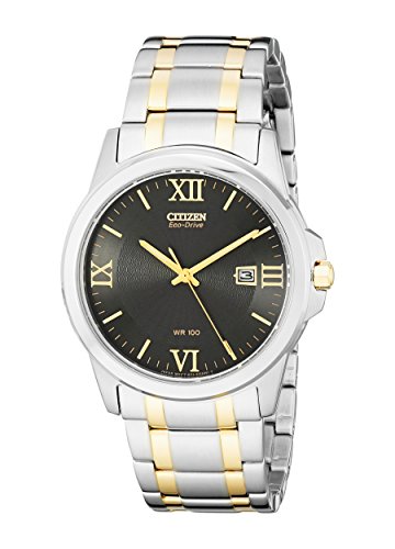 Citizen Men's BM7264-51E Eco-Drive Two-Tone Watch