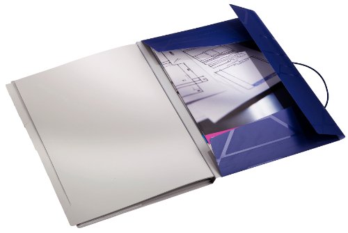 Imagen 2 de Leitz 46180035 - Carpeta archivadora con 12 compartimentos color azul
