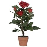 f-DECO ���[�Y���b�h 30cm