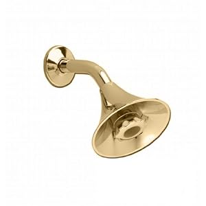 American Standard Flowise Transitional Styled Water Saving Showerhead