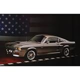 (24x36) Ron Kimble - Shelby Mustang, Art Poster Print