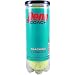 Sporting Goods : Penn Coach Tennis Balls