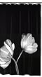Maytex Tulip Photoreal PEVA Shower Curtain, Black