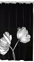 Maytex Tulip Photoreal Vinyl PEVA Shower Curtain, Black