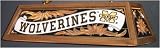 Michigan Wood Frame Billiards Light - Flourescent