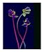 Catch You Later Abstract Photographic Poster Print by Val Decker, 8x10