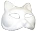 RedSkyTrader Mens Paper Mache Cat Arts and Craft Mask One Size Fits Most White