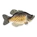 Crappie - Keeper Folk Art Fish