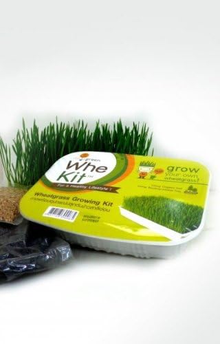 WHE Kit Wheatgrass Growing Kits 3.52 Oz. Seed Weight