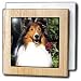 Dogs Sheltie/Shetland Sheepdog - Shetland Sheepdog - Tile Napkin Holders