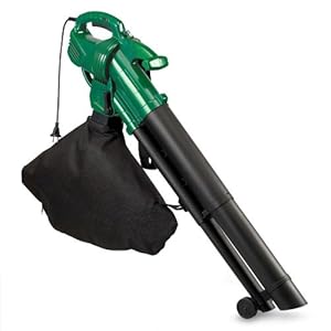 Souffleur electrique