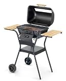 TENNESSEE Lavastein-Gasgrill 2-flammig 50x32 cm Grillfläche Enders