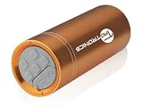 TaoTronics Portable Mini Speaker Sports Music Player Sound Box+FM Golden