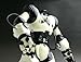 ROBO ACTOR 完全二足歩行ロボット ラジコン