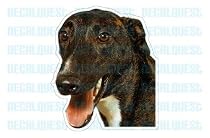 GREYHOUND - Dog Decal - grey hound sticker car gray got