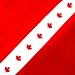 Canadian Flag Bandana