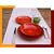 Brushed Red Terracotta Dinner Service (1 Set)