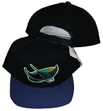 Tampa Bay Rays Adjustable Two Tone SnapBack Plastic Snap Back Hat /Cap