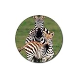 Zebra Rubber Round Coaster (4 pack)