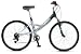 Schwinn Sierra DSX Adult Comfort Bike (Medium/Large)