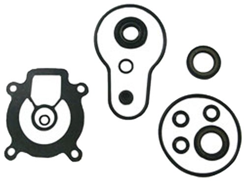 Sierra International 18-8339 Marine Lower Unit Seal Kit for Suzuki Outboard Motor Sierra International 18-8339 Marine Lower Unit Seal Kit for Suzuki Outboard Motor