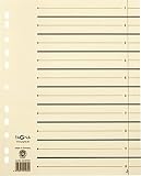 Produkt-Bild: Pagna 44108-09 PAGNA Trennbl&auml;tter 300x245x27 chamois 230g/qm, Inh.100
