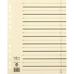 Pagna 44108-09 PAGNA Trennbl�tter 300x245x27 chamois 230g/qm, Inh.100