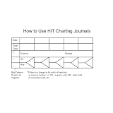 Hit Charting Journal -12 Month