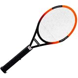 The Executioner PRO Fly Swat Wasp Bug Mosquito Swatter Zapper