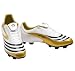 Sports : adidas - Herren Fu&szlig;ballschuh - Adidas F10.8 TRX FG