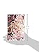 Sakura Hime: The Legend of Princess Sakura, Vol. 11 (11)