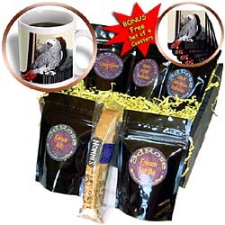 Birds - African Grey Parrot - Coffee Gift Baskets - Coffee Gift Basket by 3dRose LLC
