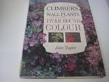 Climbers and wall plants for year round colour