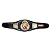 Ringside Economy Championship Belt, Multi, 80 lbs