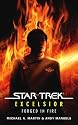 Forged in Fire (Star Trek: Excelsior)