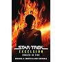 Forged in Fire (Star Trek: Excelsior)