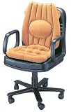 Air Support Cushion with Lumbar Support
