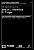 Soziale Grundrechte in Europa nach Lissabon: Eine rechtsvergleichende Untersuchung der nationalen Rechtsordnungen und des europ�ischen Rechts - 