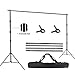 FUDESY Photo Video Studio 10 x 10Ft Heavy Duty Adjustable Backdrop Stand,Background Support System for Photography with Carry Bag,Two Pieces Spring Clamps