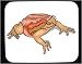Decorated Mouse Pad with frog, toad
