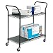 Safco Wire Utility Cart - 2 Shelf - 400 lb Capacity - 4 x 3 Caster - Plastic - 44 x 19.25 x 41 - Black