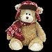 TY Classics&trade;Hudson&trade; - Bear with Hat and Scarf