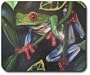 Red Eyed Tree Frog Mouse Pad